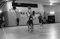 Basket 443018